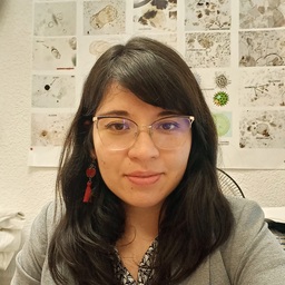 Dra. Diana Angélica Avendaño Villeda